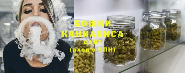 шишки Аркадак