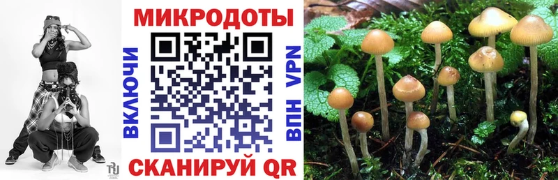 Купить закладки Горячеводский Галлюциногенные грибы мицелий